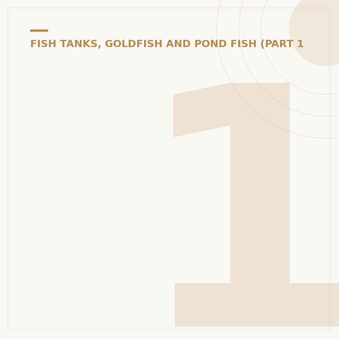 100 Litre Fish Tank: Choosing and Setting Up