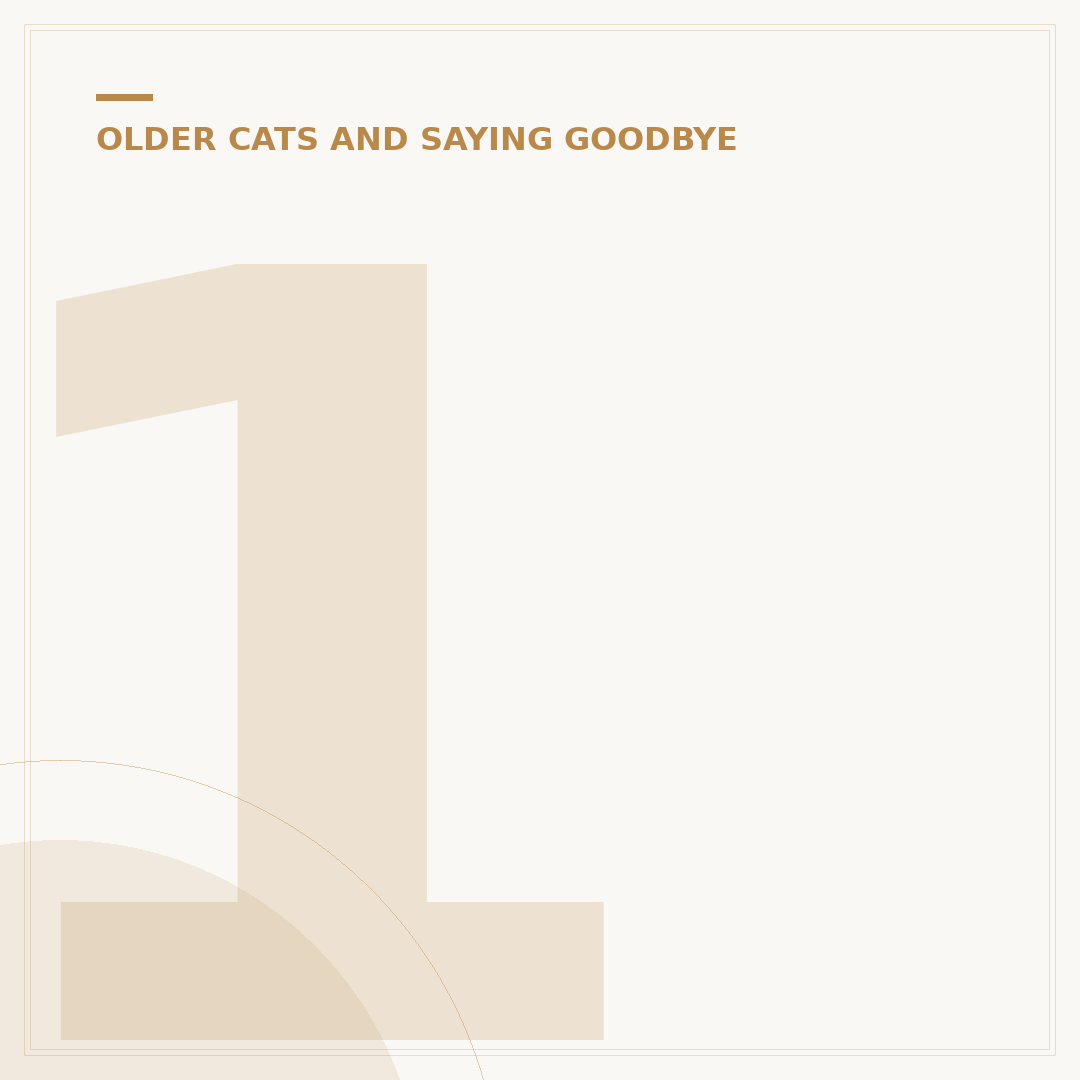 16 yr old cat in human years: How old is your feline?