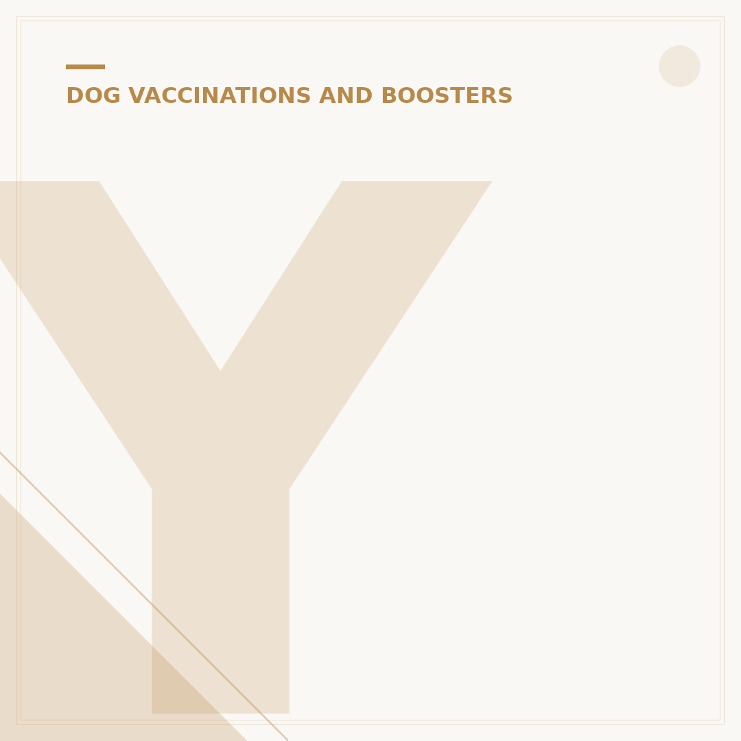 Your Puppy's 1st Vaccine: What You Need to Know