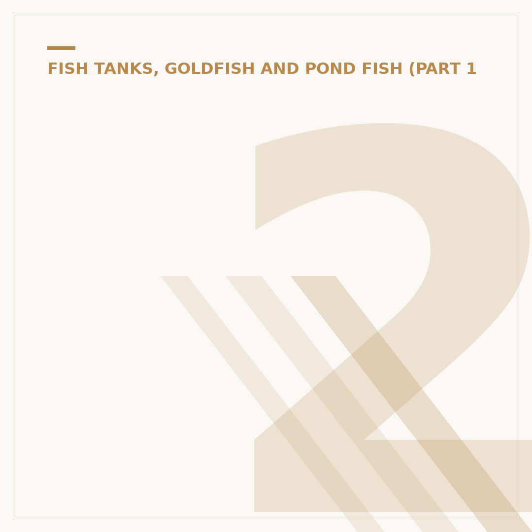 20 Gallon Fish Tank: What You Need to Know