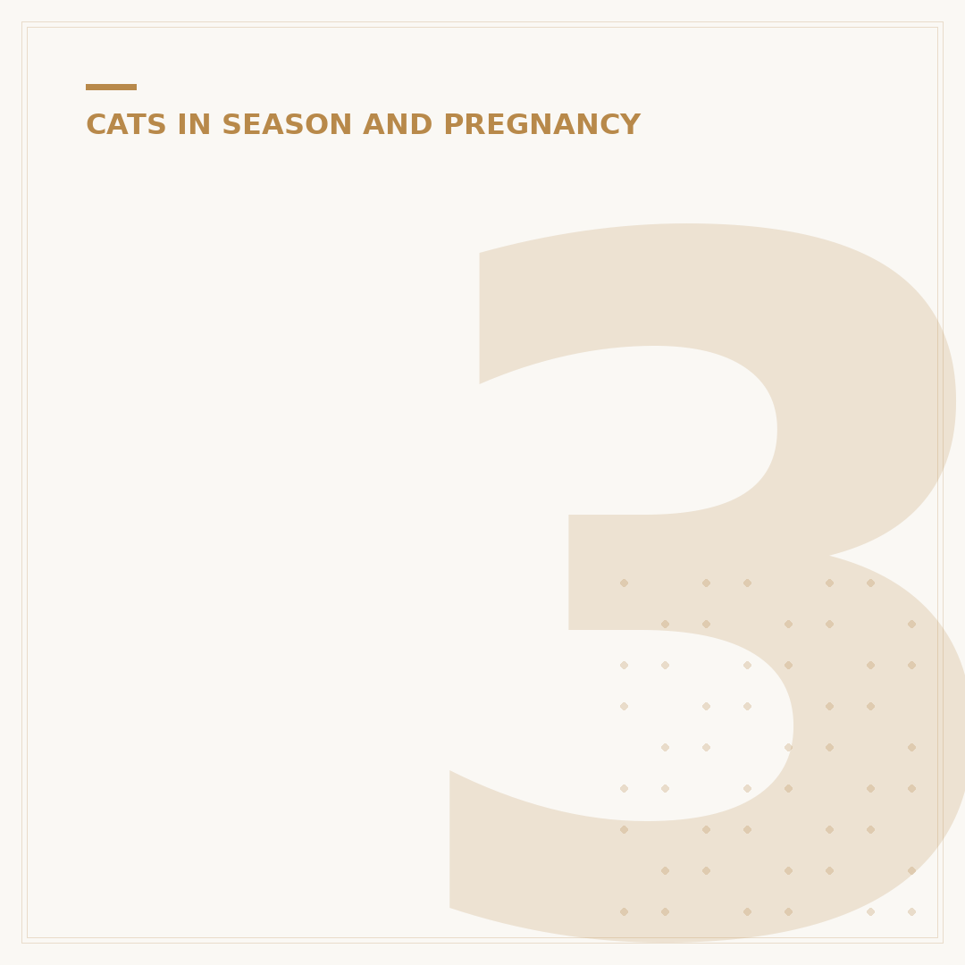 3 Week Pregnant Cat Belly: What to Expect
