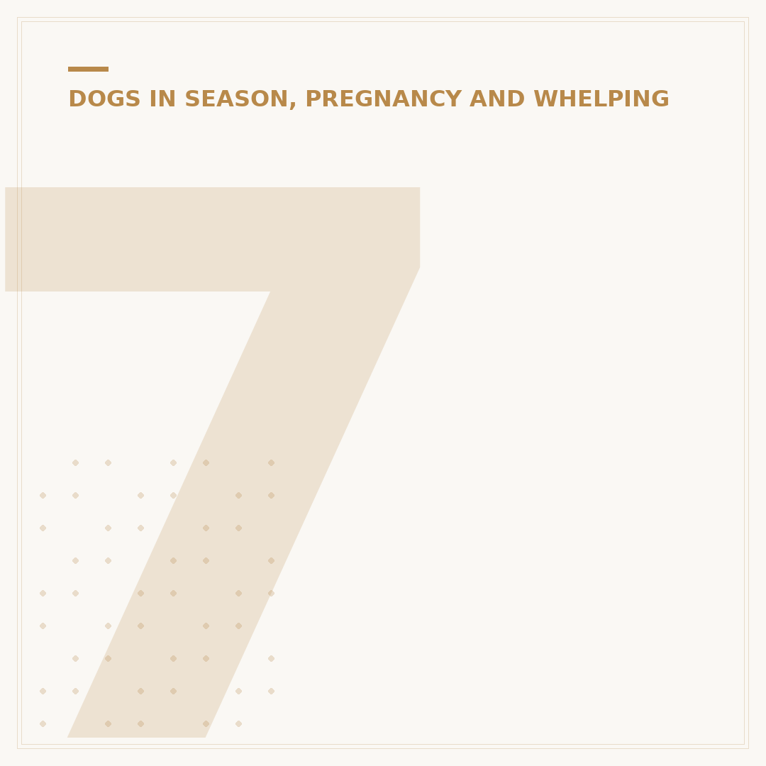 7th Week Dog Pregnancy: What to Expect