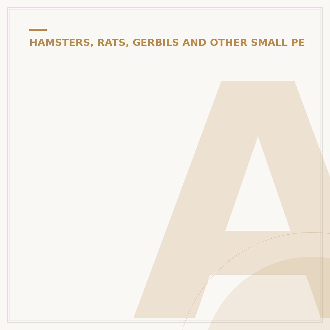 Acrylic Hamster Cage: Benefits and Drawbacks