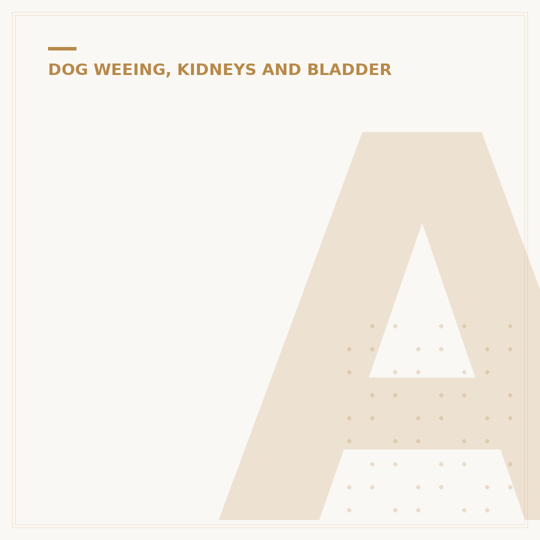 Acute Kidney Failure in Dogs: Causes, Signs, and Care