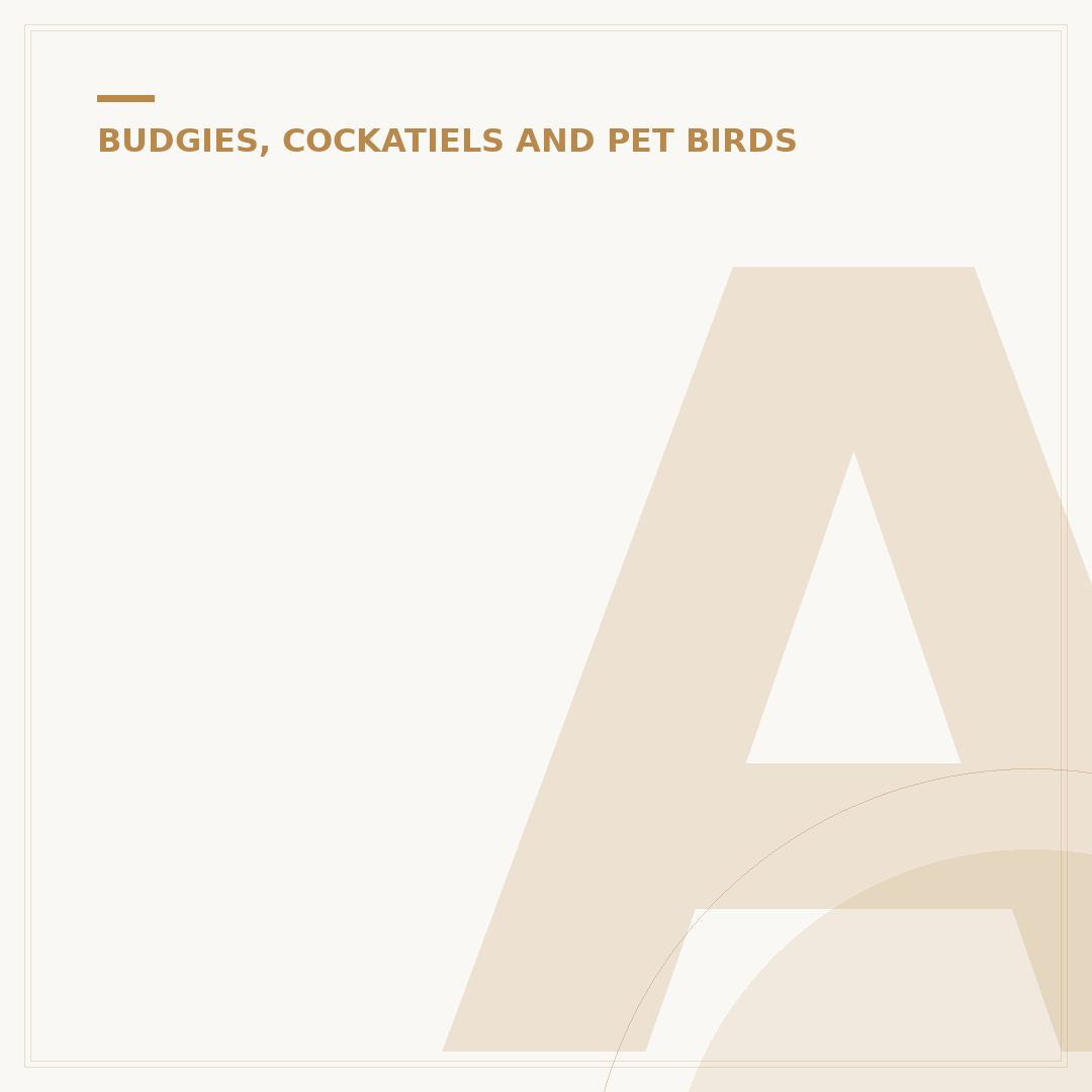 African Grey Bird: Understanding Your Intelligent Parrot