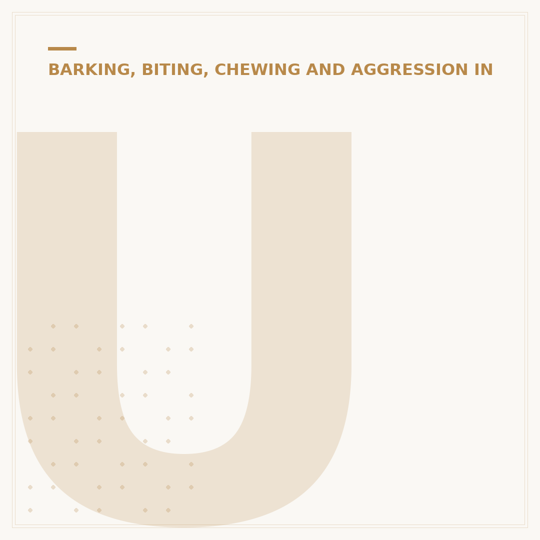 Understanding Aggression in Dogs: Causes and Management