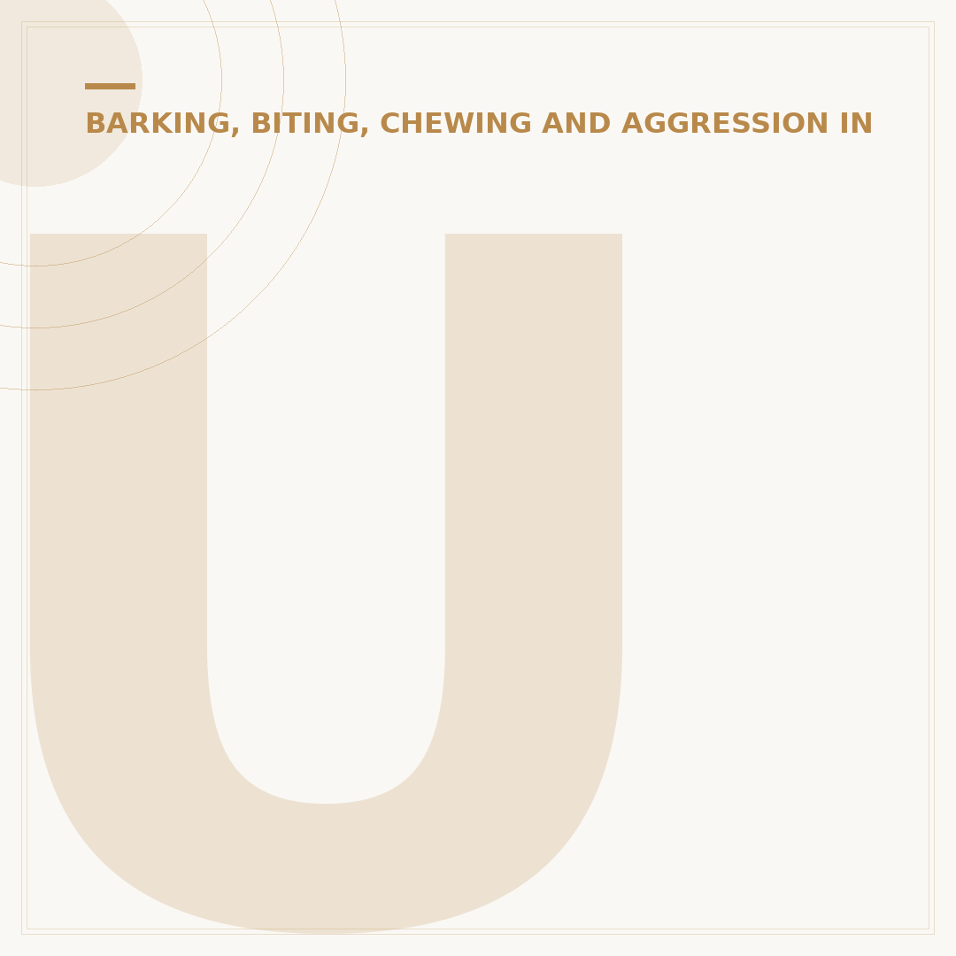 Understanding Aggressive Behavior in Dogs