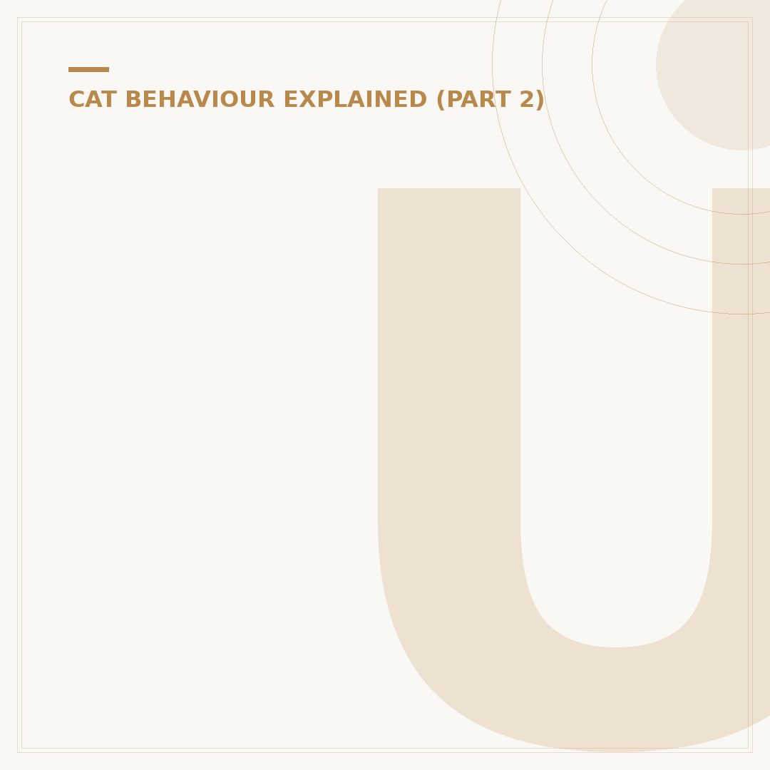 Understanding Aggressive Behaviour in Cats