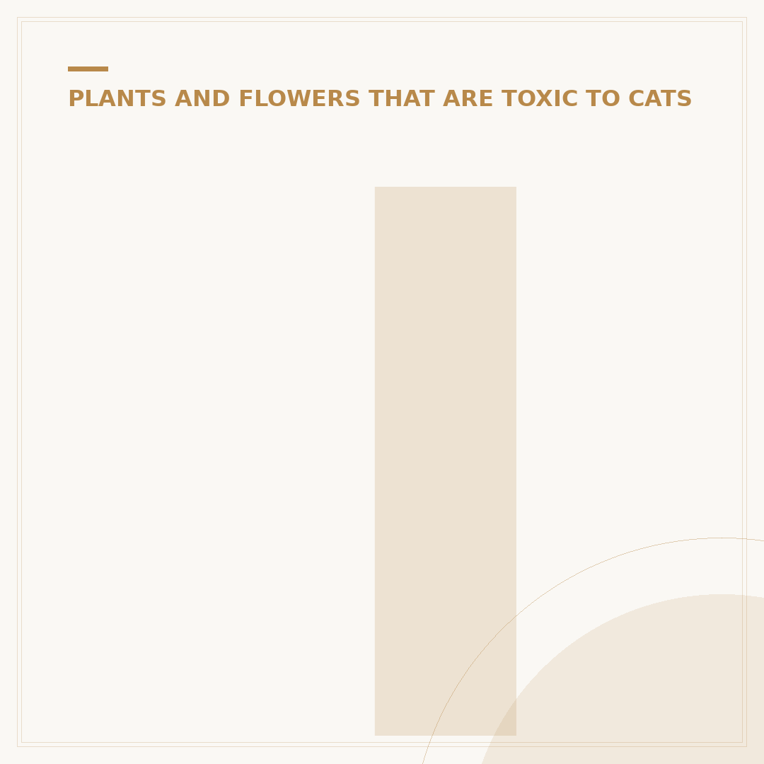 Is an Aloe Plant Toxic to Cats? What You Need to Know