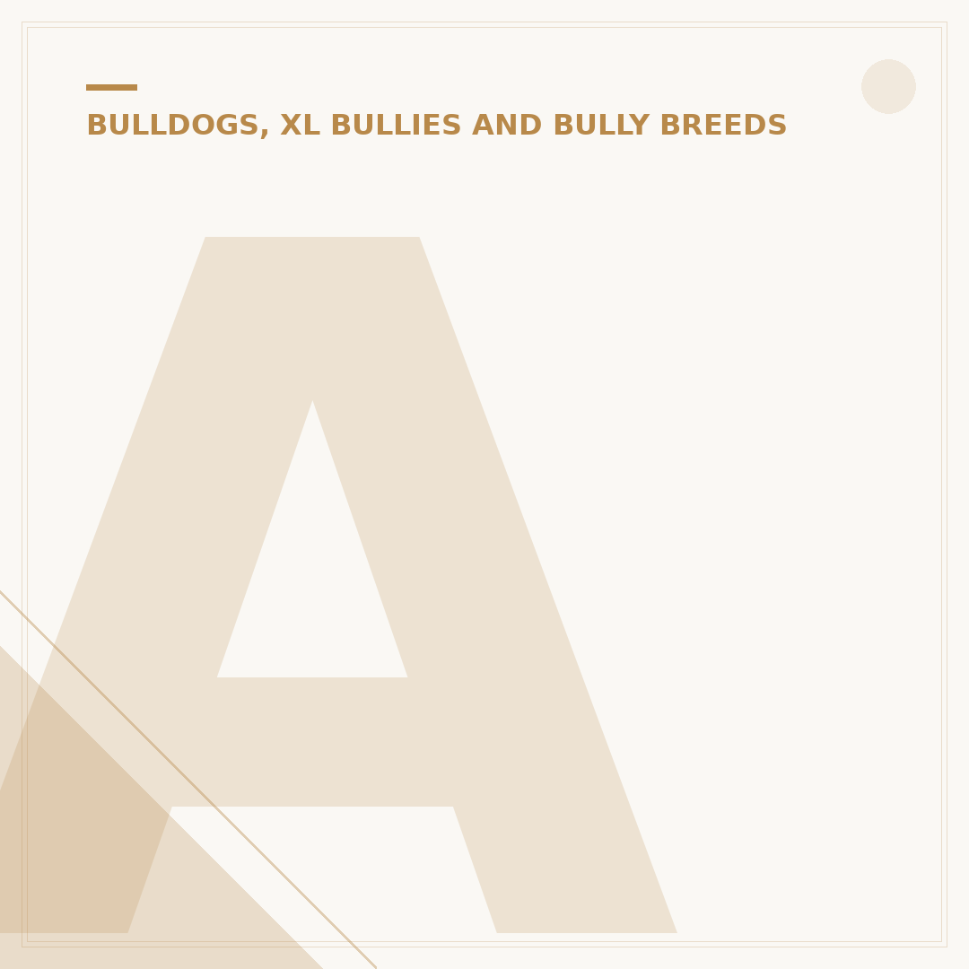 American Bulldog Lifespan: Factors Affecting Longevity
