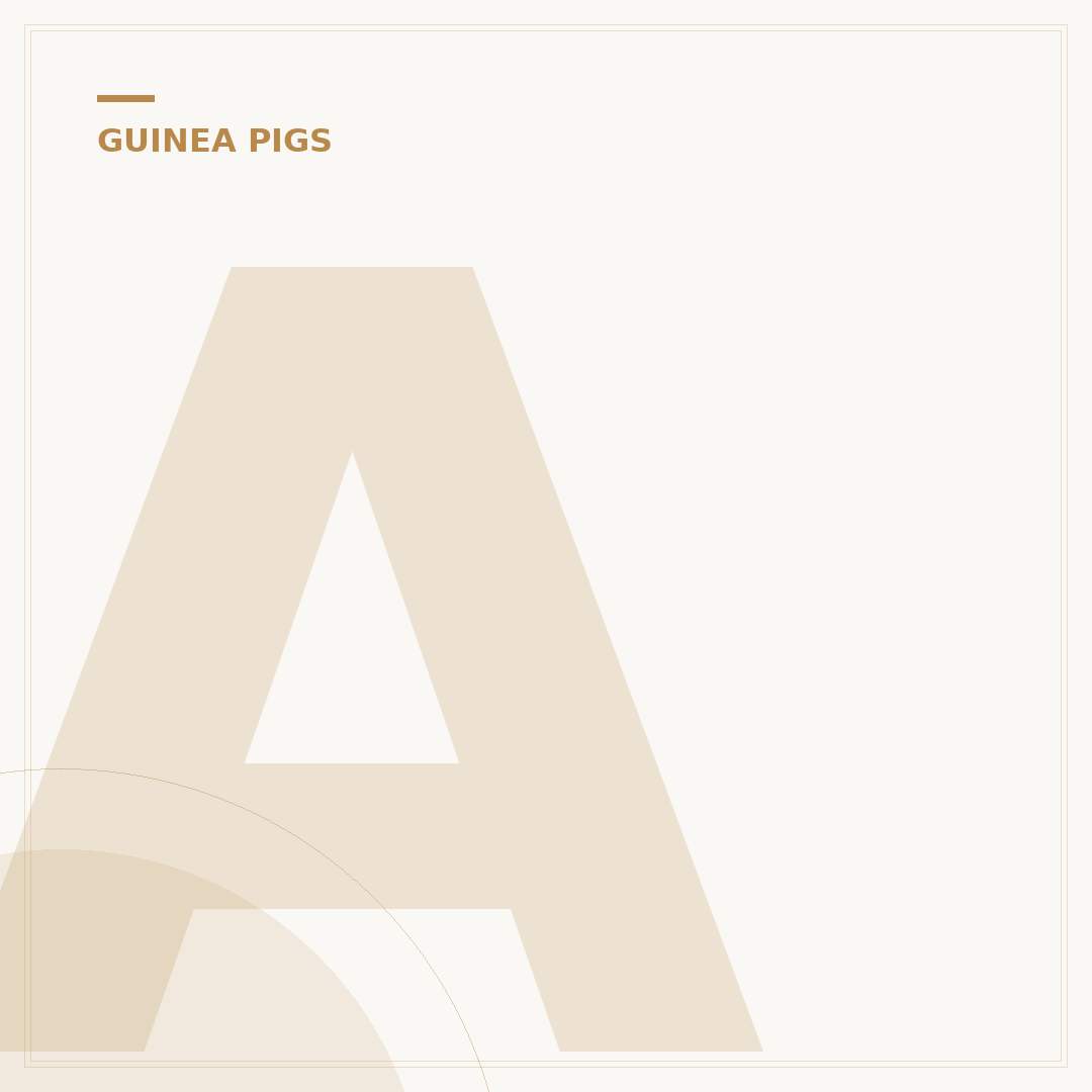 American Guinea Pigs: Care, Diet, and Lifespan