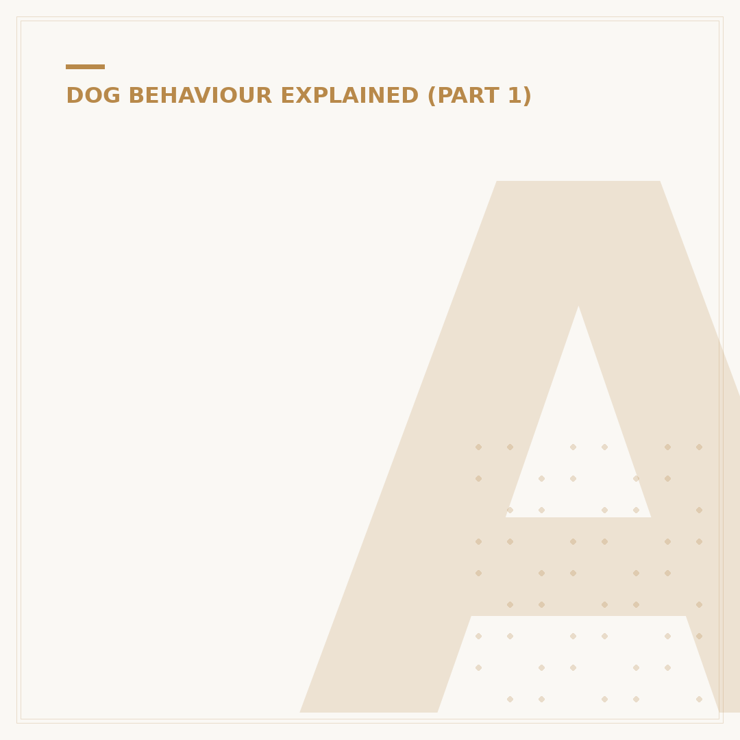Animal Behaviorist for Dogs