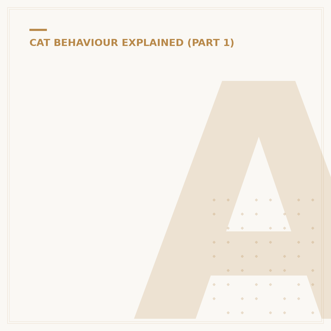 Anti Anxiety Drugs for Cats: Options & Use