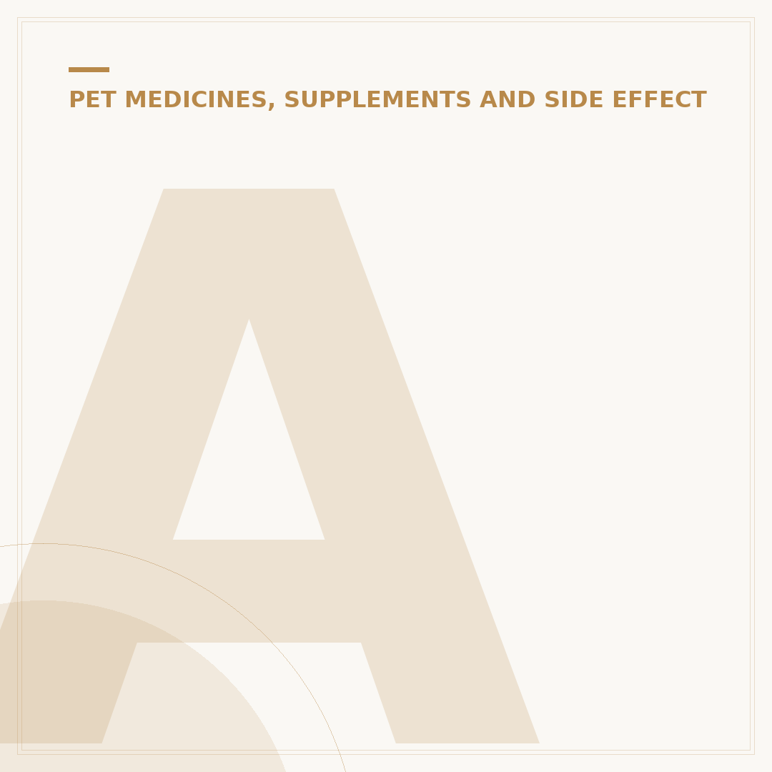 Anti Inflammatory Options for Dogs Explained