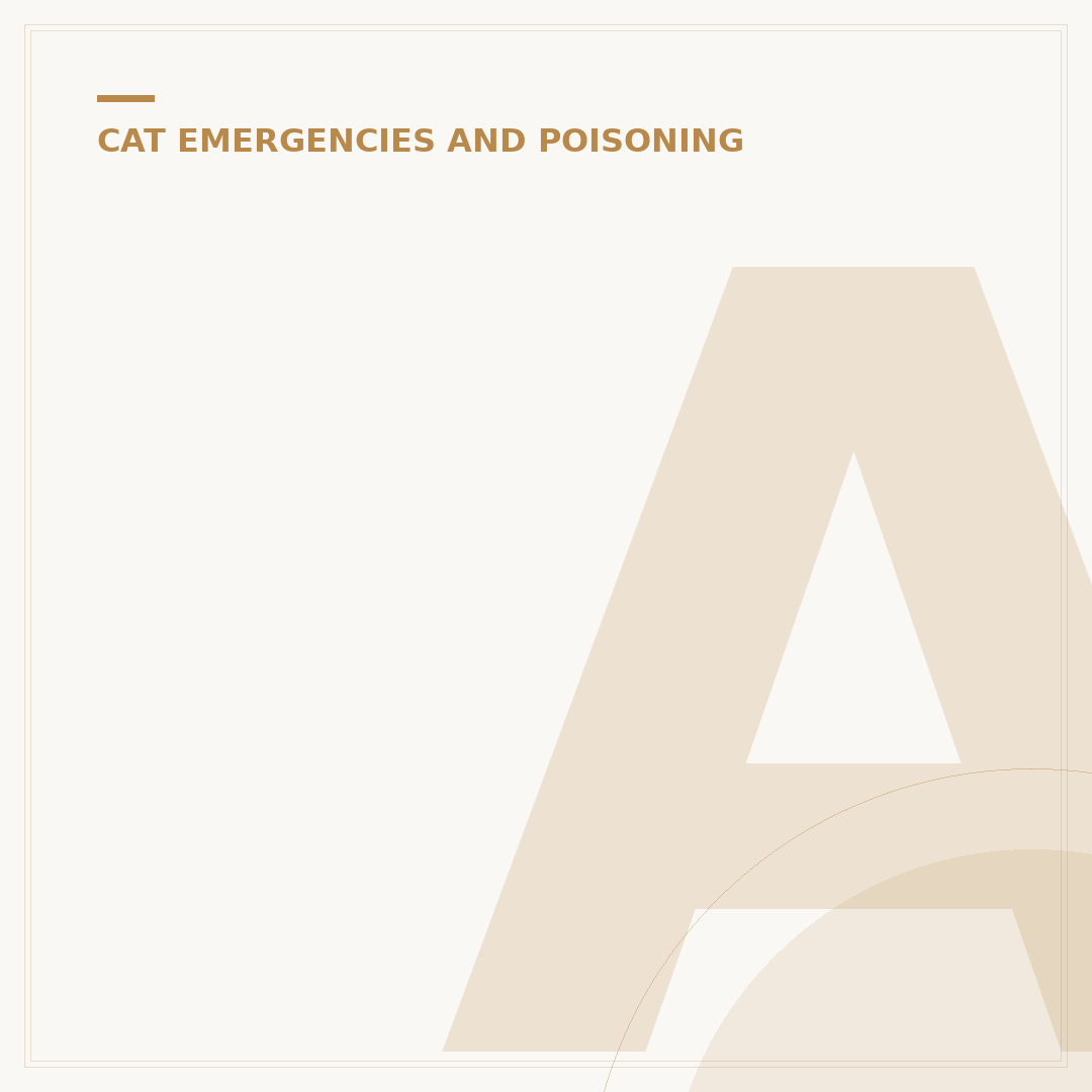 Antifreeze Poisoning in Cats: Signs & What To Do