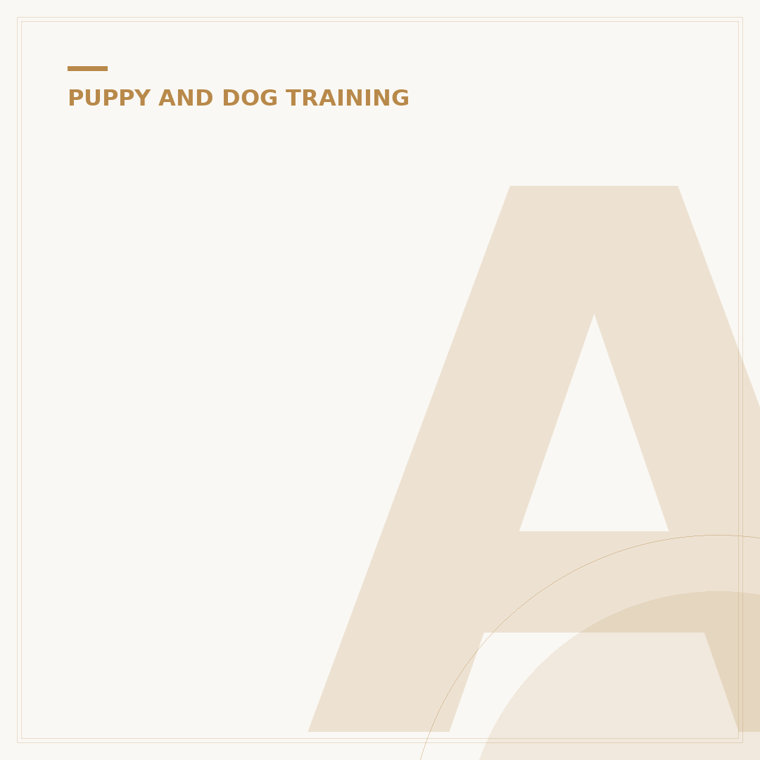 Anxious Dog Training: Supportive Methods