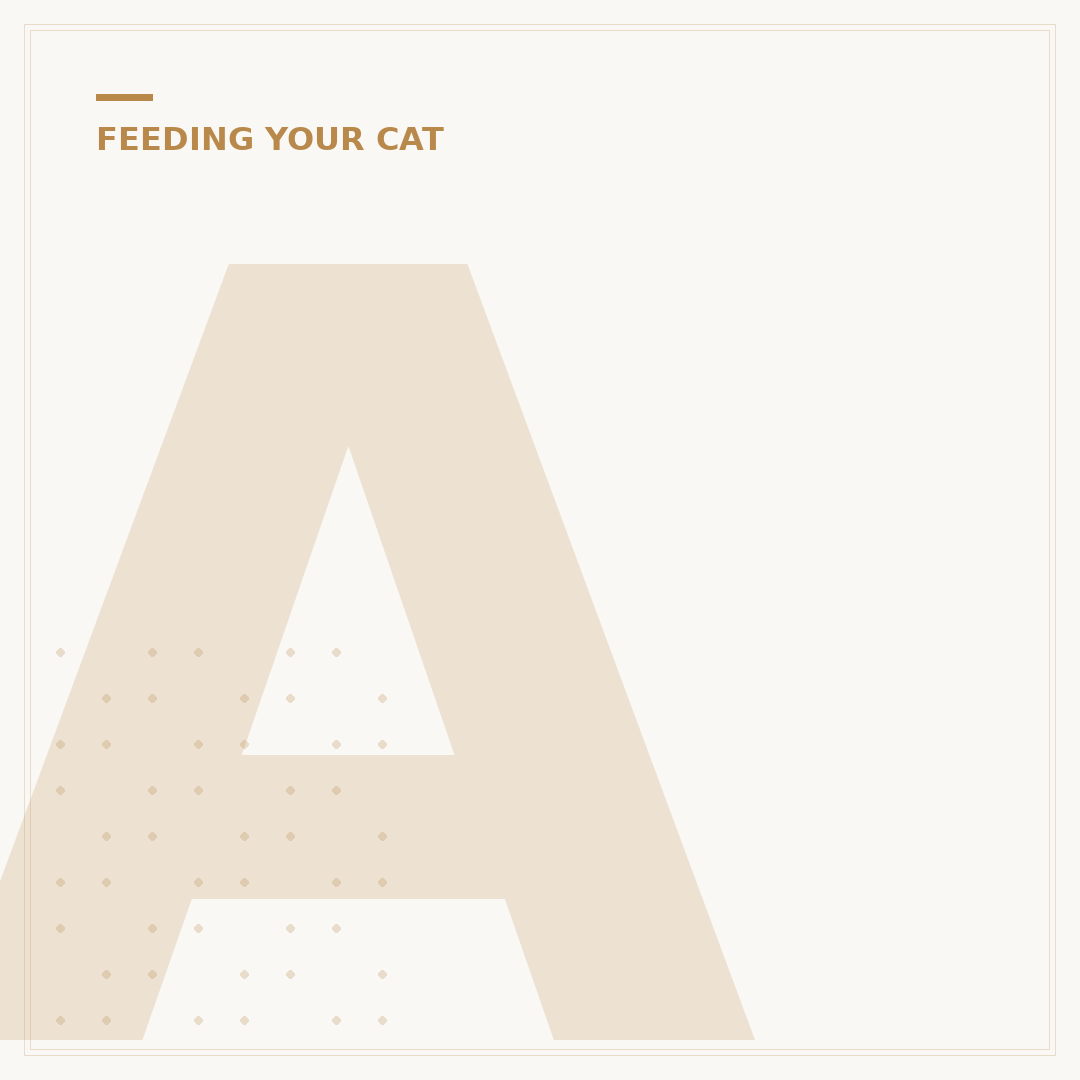Applaws Cat Food: What You Need To Know