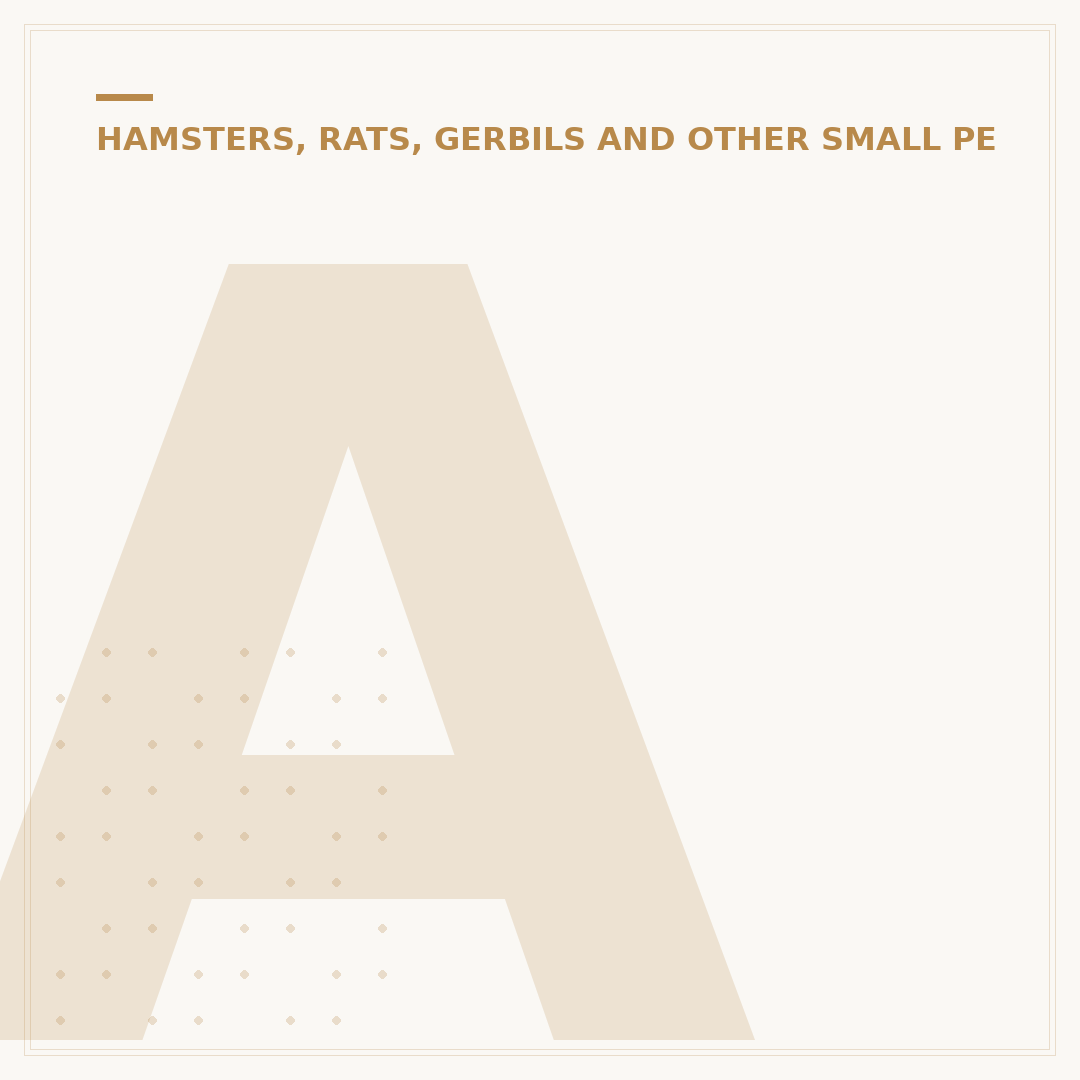 Are Hamsters Good Pets? What to Know