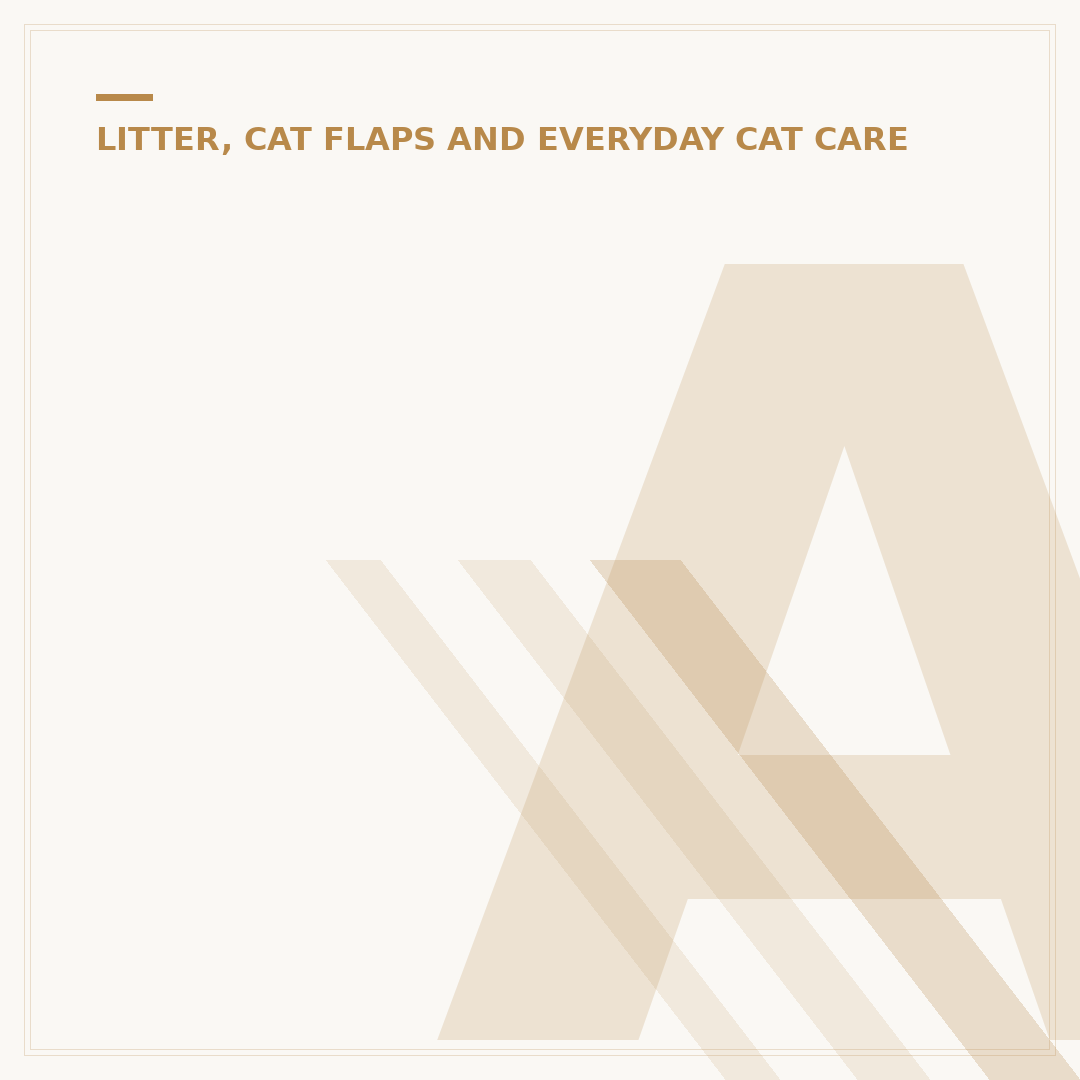 Auto Litter Boxes for Cats: What to Know