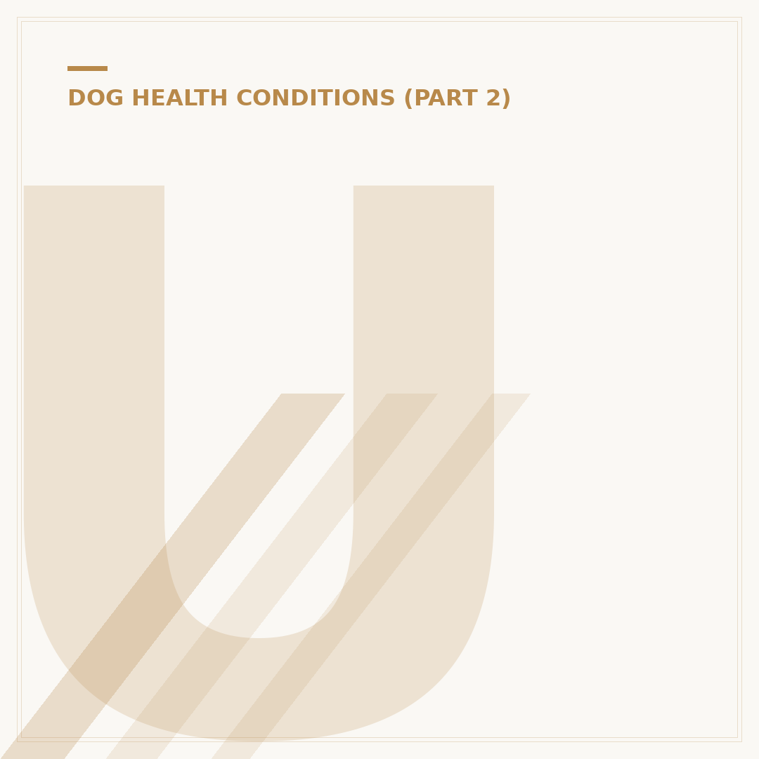 Understanding Autoimmune Conditions in Dogs