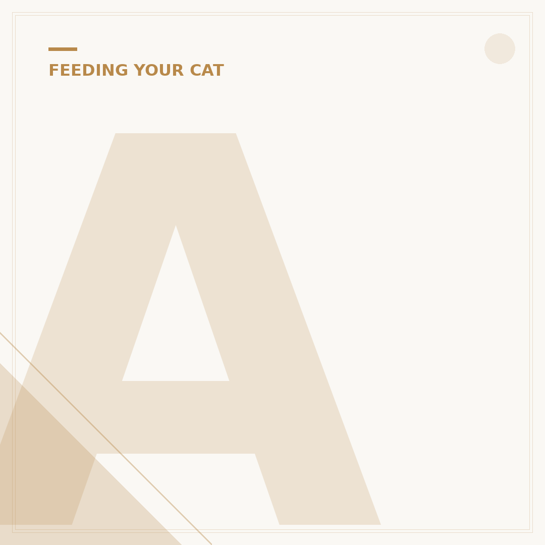 Automatic Wet Cat Food
