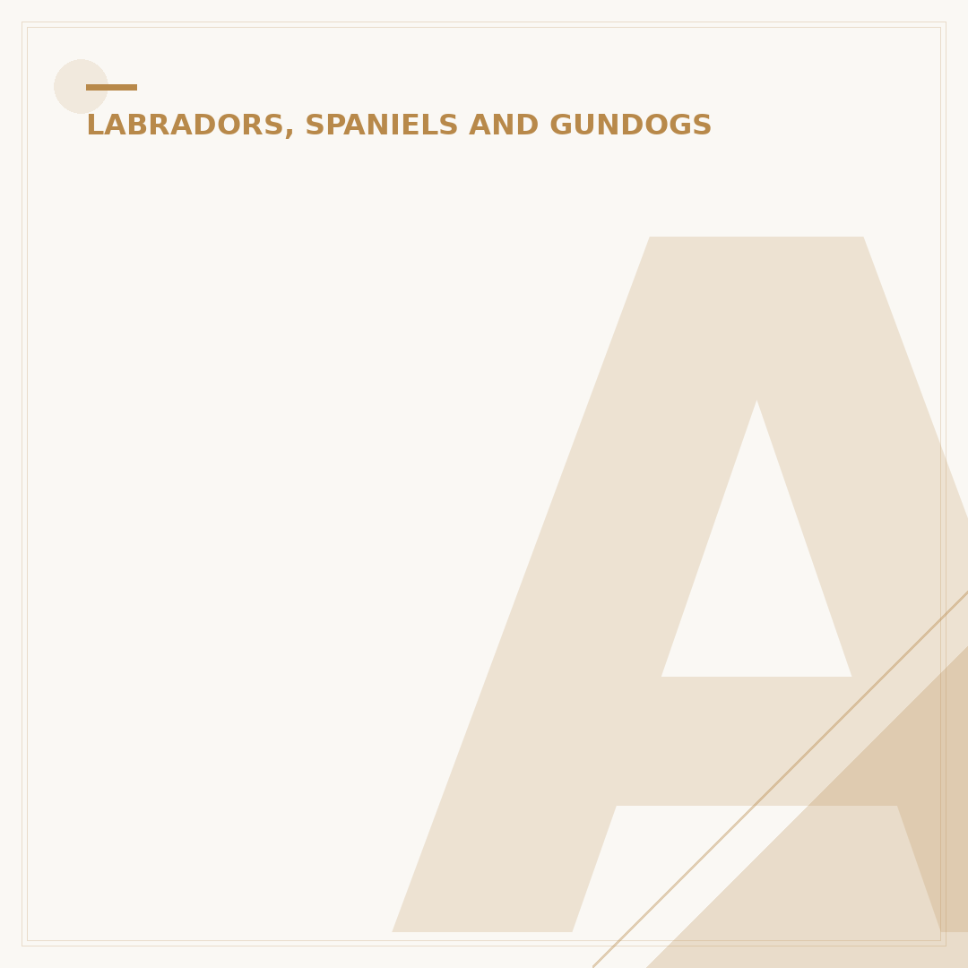 Average Age of a Cocker Spaniel: Lifespan Factors