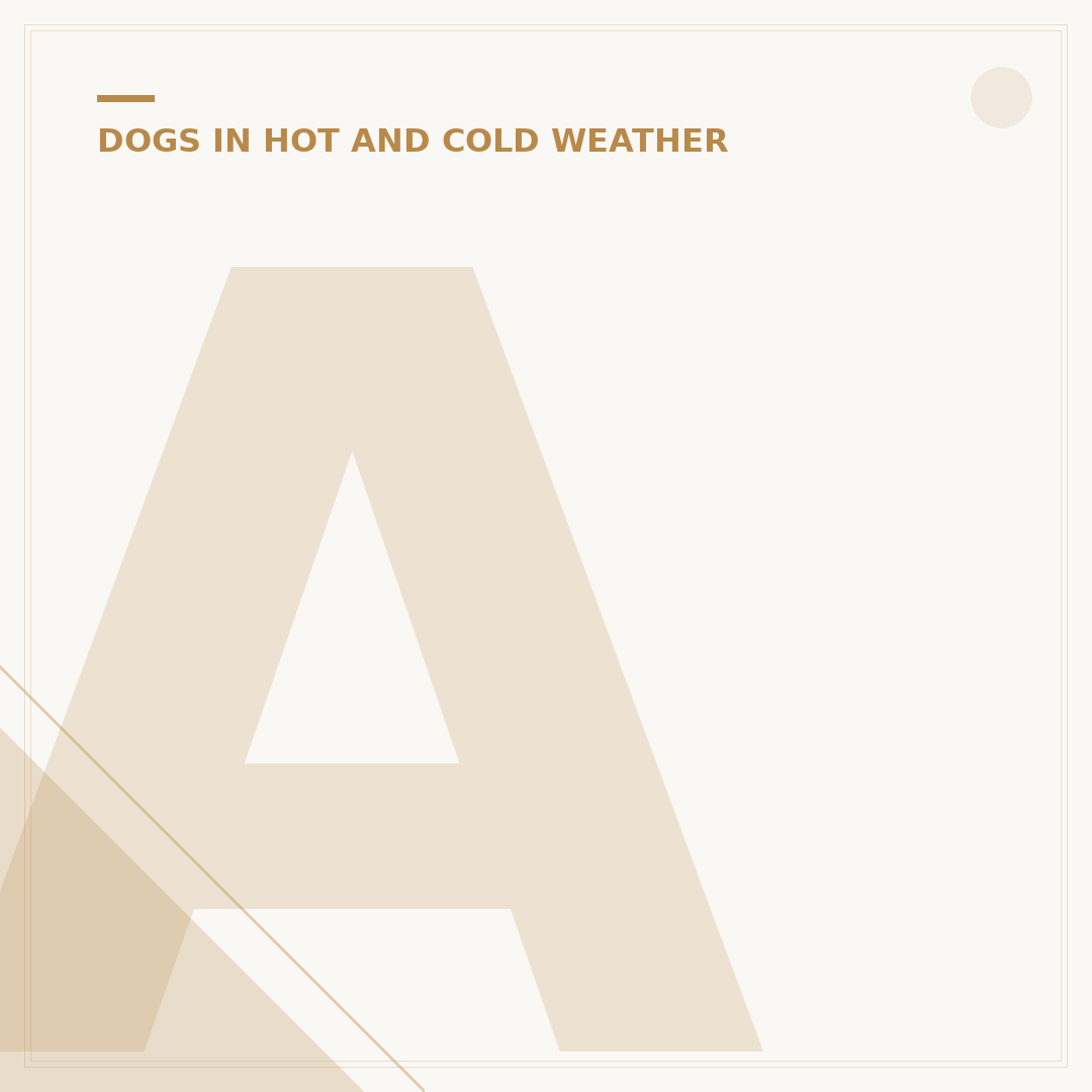 Average Dog Temperature Celsius: What's Normal?