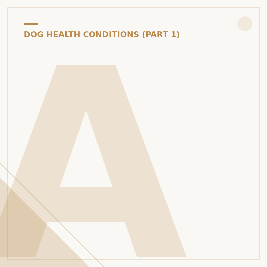 Average Heart Rate in Dogs: What's Normal?
