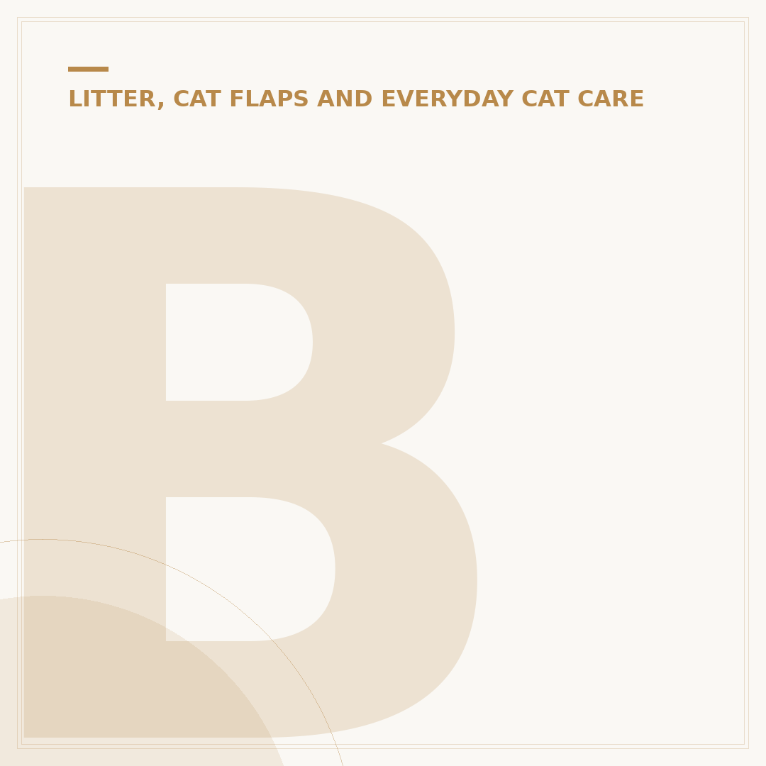 Bag Carrier for Cats