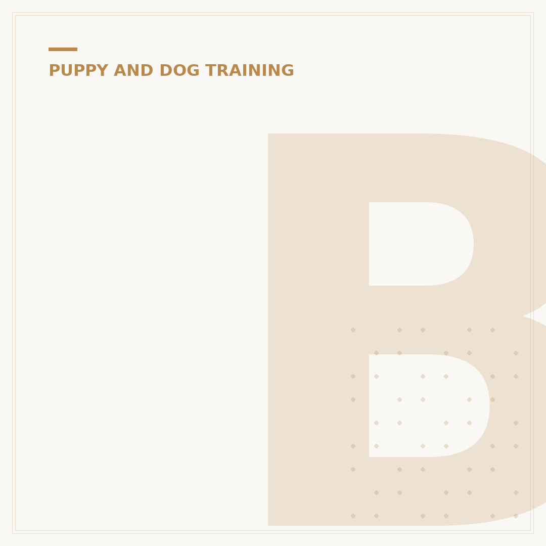Bankhouse Barkers Dog Training Club: What You Need