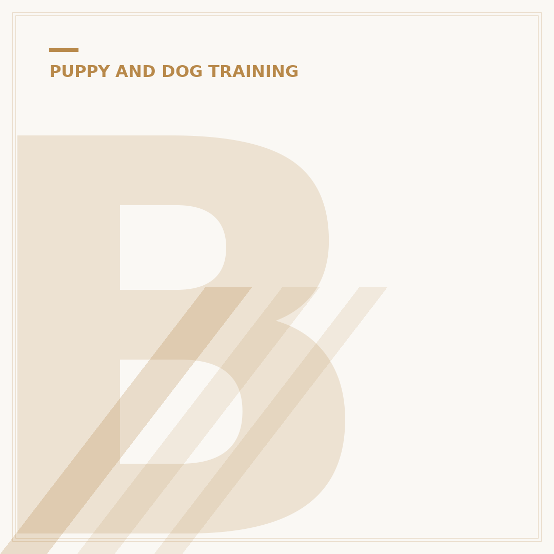Bark Buster Dog Training: What You Need to Know