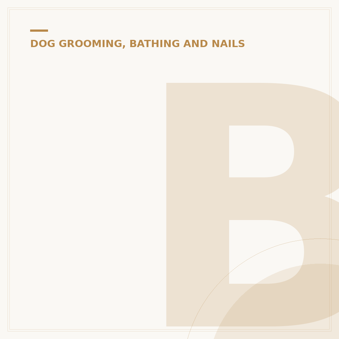 Barkers Dog Grooming: Services and Advice