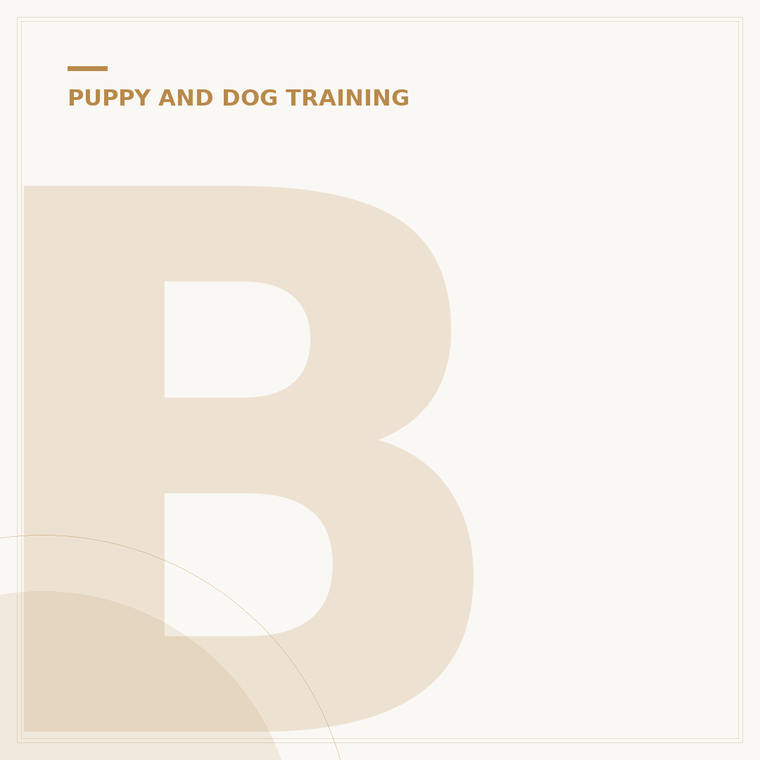 Barking Mad Dog Training & Behaviour Company Services