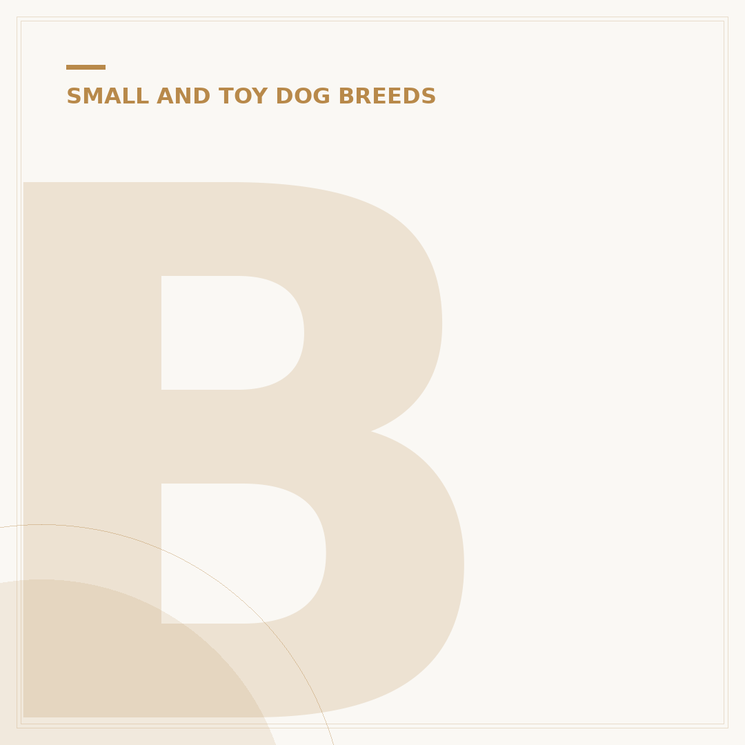 Beagle Poodle Cross: What to Know