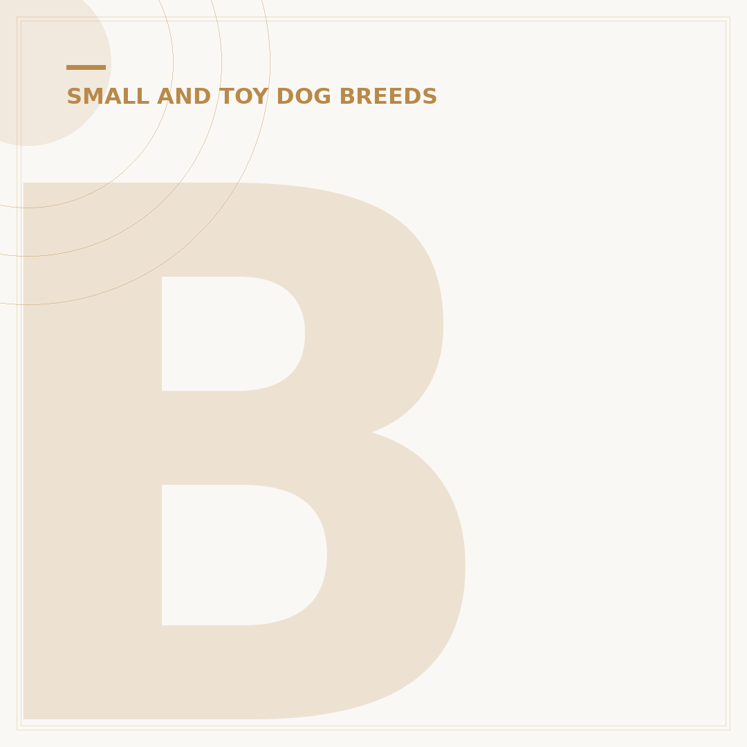 Beagle Poodle Mix Dog: Traits and Care