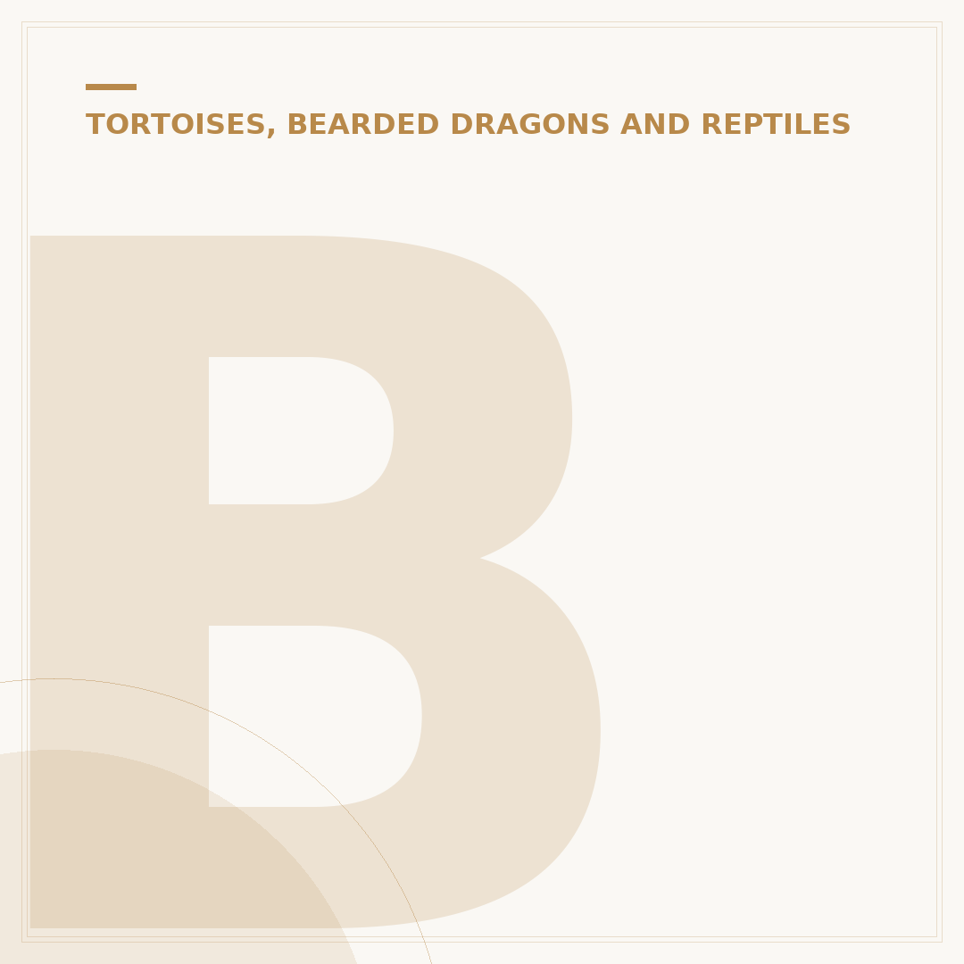 Bearded Dragon Care: Housing, Diet & Health