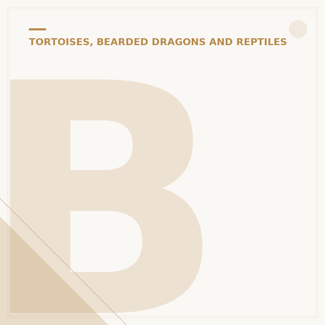 Bearded Dragon Diet: What Can They Eat?