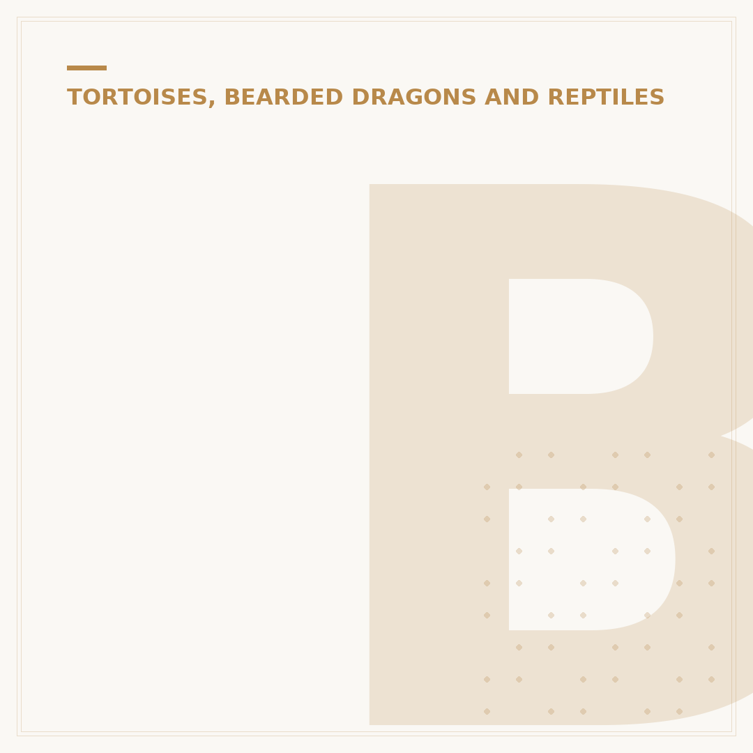 Bearded Dragon Lifespan: Average Life Expectancy