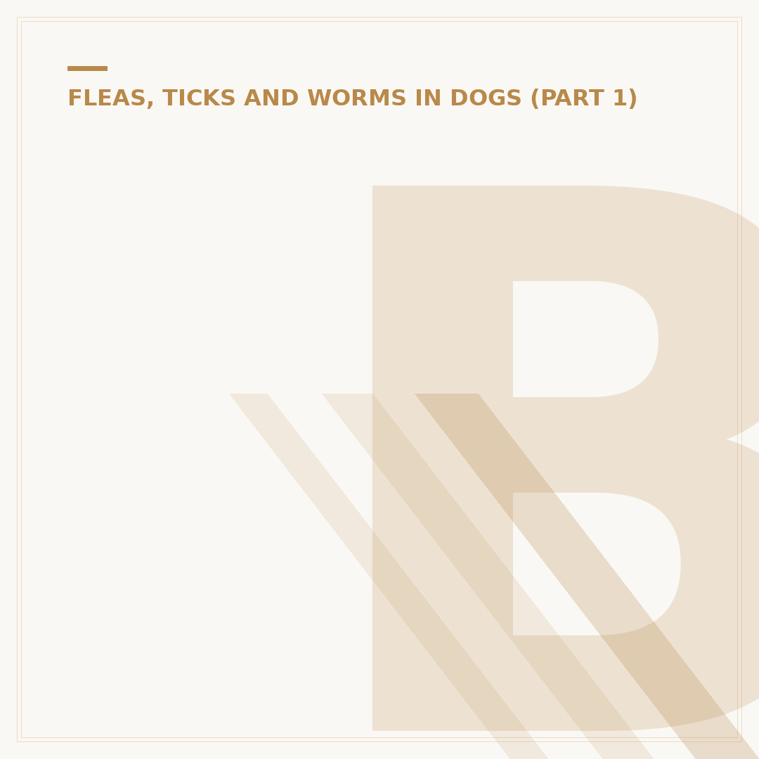 Bed Fleas: Signs, Causes, and How to Get Rid