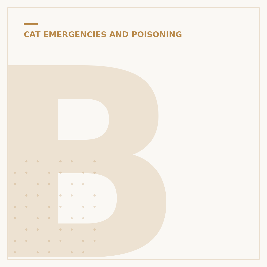 Bee Sting for Cats: What to Do and Signs to Watch