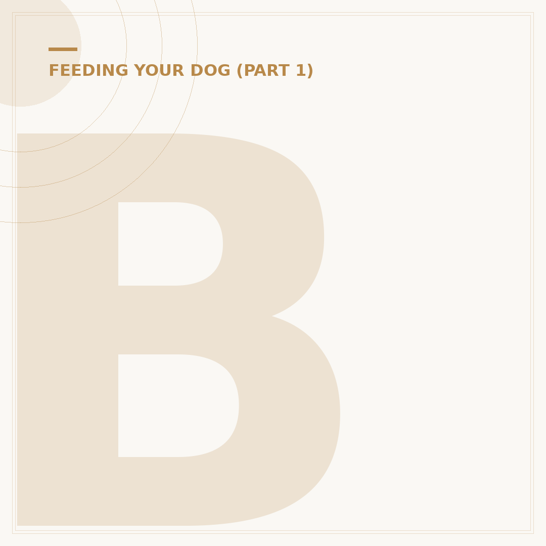 Bella & Duke: Natural Raw Food for Pets