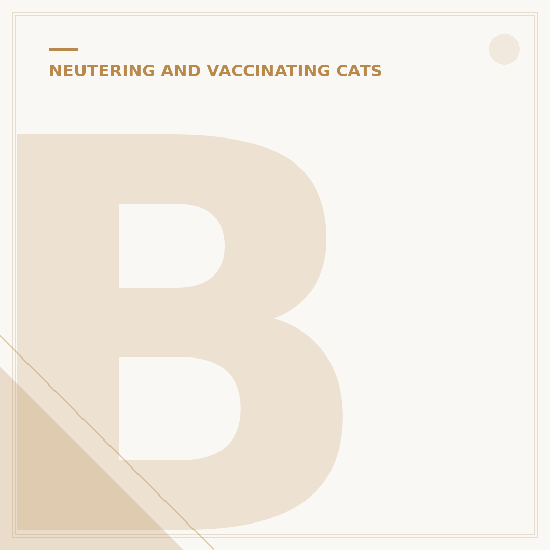 Benefits of Neutering Your Cat