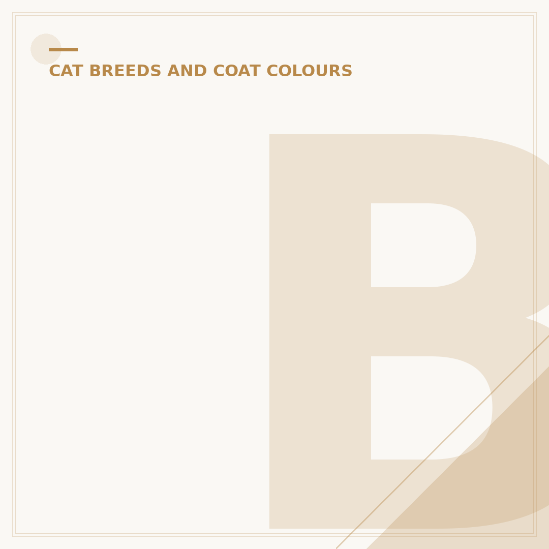 Bengal Cat vs Tabby Cat: Key Differences Explained