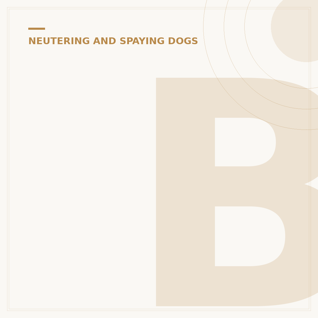 Best Age to Spay a Dog: Expert Guidance