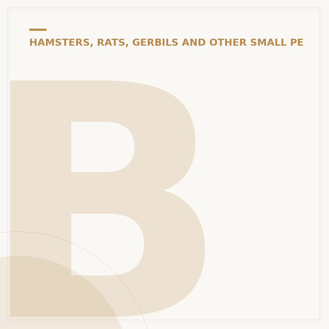 Big Hamster Cage: Choosing the Right Size
