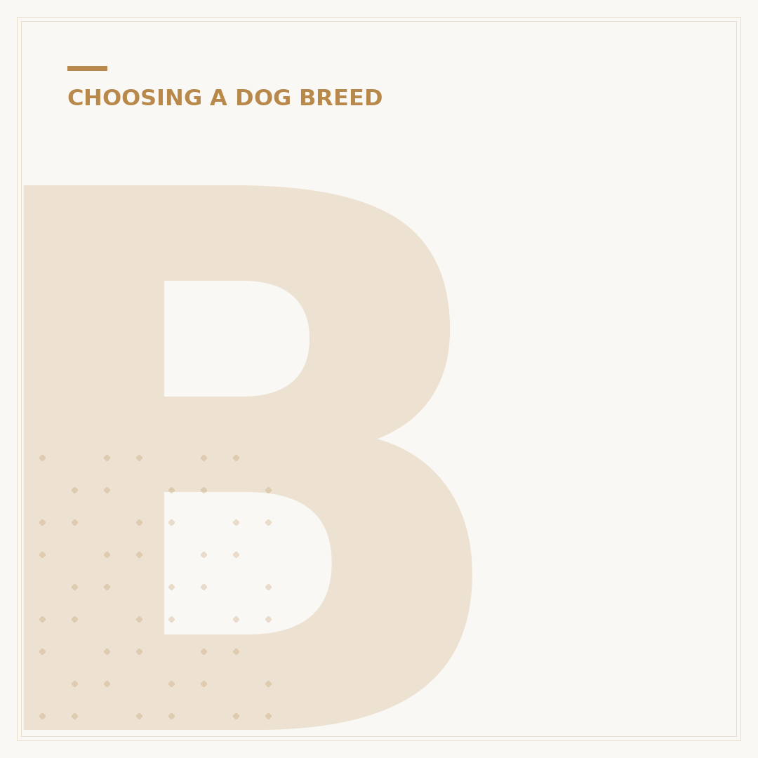 Biggest Dog Breeds: What Breed of Dogs Are the Largest?