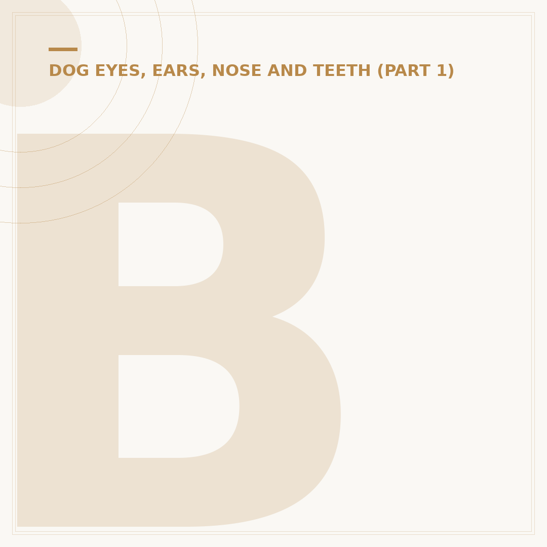 Black Gums in Dogs: Causes and What to Look For