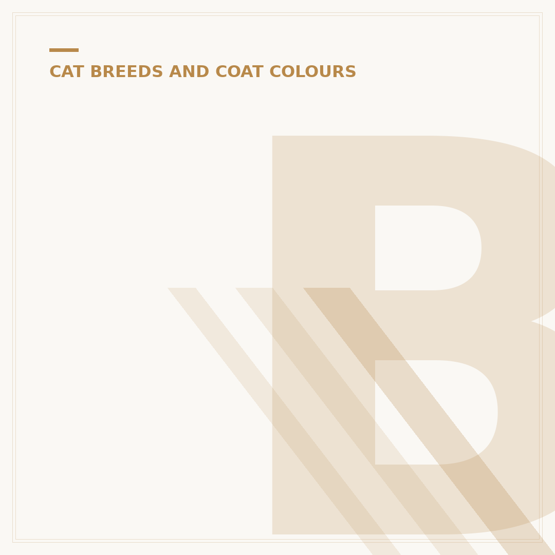 Black and White Cat Breeds: Recognising the Patterns