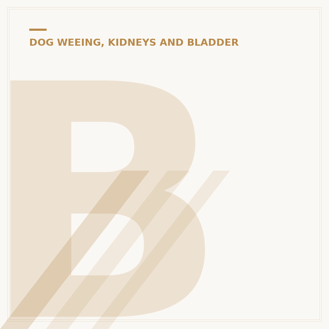 Bladder Cancer in Dogs: Signs, Symptoms & Diagnosis