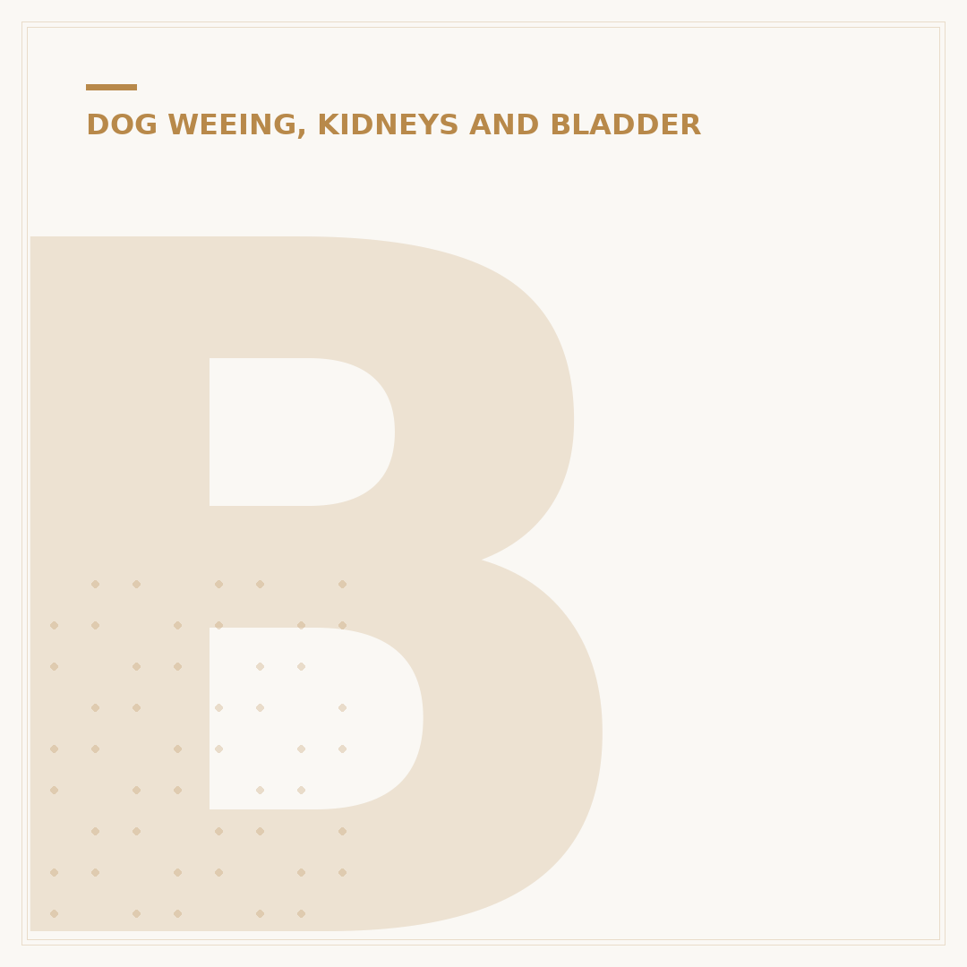 Bladder Infection Treatment in Dogs: What You Need To Know